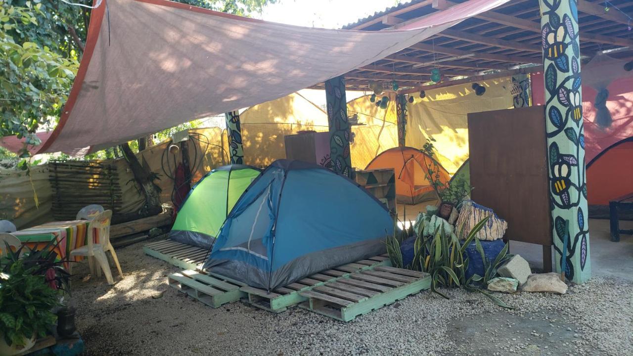 باكالار Hostal Y Camping Las G المظهر الخارجي الصورة