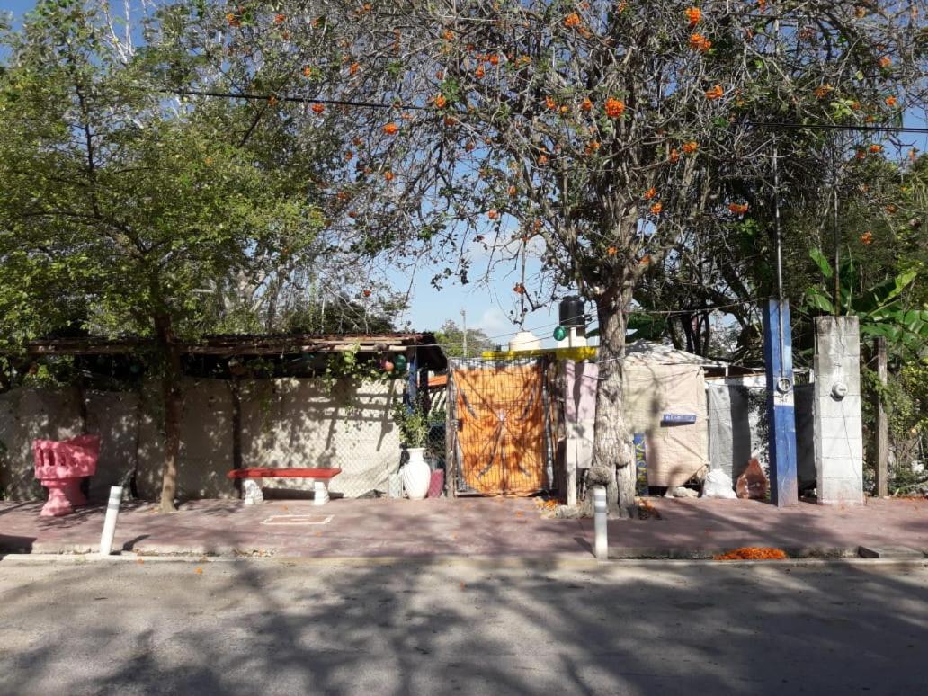 باكالار Hostal Y Camping Las G المظهر الخارجي الصورة